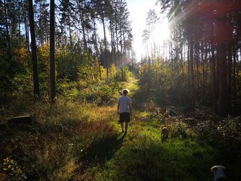 Rear view of man walking in forest