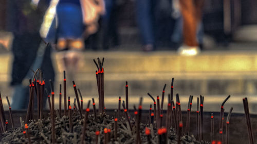Close-up of incense sticks against temple