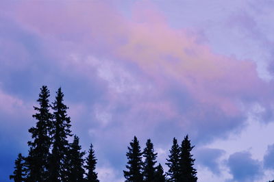 Low angle view of trees against cloudy sky