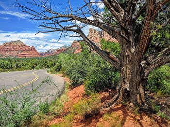 Scenic view of land against sky