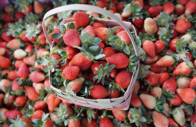 Close-up of strawberries