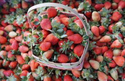 High angle view of strawberries