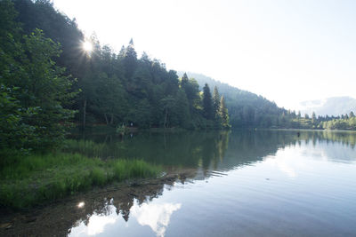 Scenic view of lake in forest against clear sky