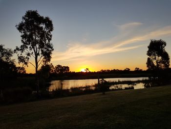 Silhouette trees on field against sky during sunset