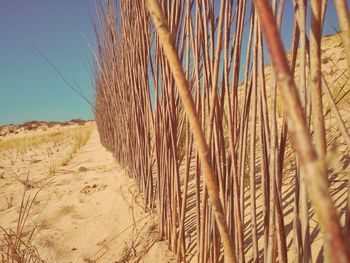 Wooden fence on sand at beach against sky