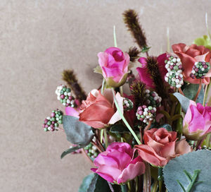 High angle view of pink flowering plant