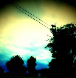 Low angle view of silhouette trees against sky at dusk