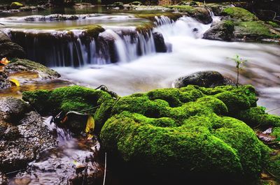 Scenic view of waterfall in forest