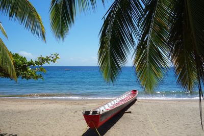 View of palm trees on beach