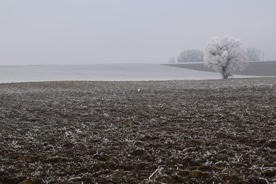 Scenic view of sea against clear sky during winter