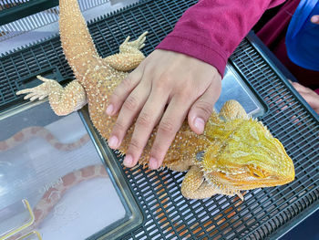 High angle view of woman working on table