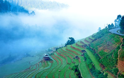 Scenic view of agricultural field against sky