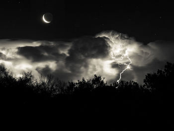Silhouette of trees against cloudy sky at night