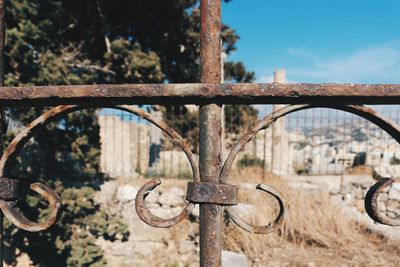 Close-up of rusty metal fence