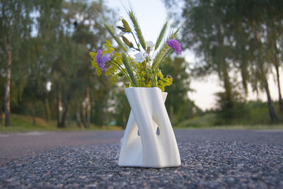 Close-up of white flower vase on road