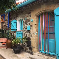 Potted plants outside house