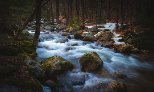 Stream flowing through rocks in forest