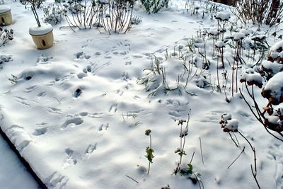 High angle view of snow covered land