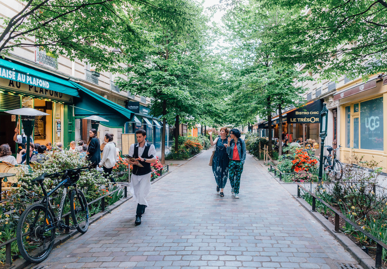 PEOPLE WALKING ON STREET AMIDST TREES IN CITY