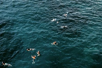 High angle view of people in sea