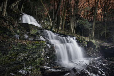 Scenic view of waterfall in forest