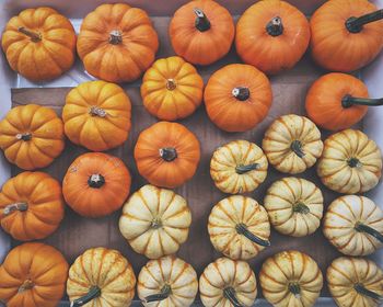 Full frame shot of pumpkins at market