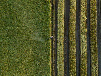 High angle view of agricultural field with a farmer spraying pesticides 