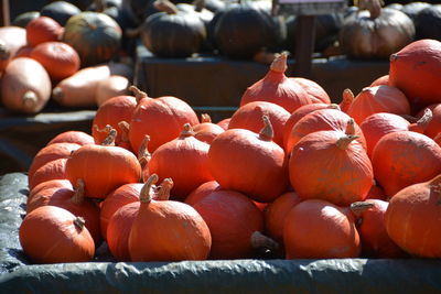 Close-up of pumpkins for sale in market