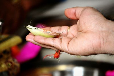 Cropped hand of man holding religious offering