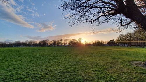 Scenic view of field against sky during sunset