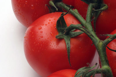 Close-up of fresh tomatoes on white background