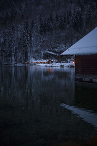 Reflection of trees in water