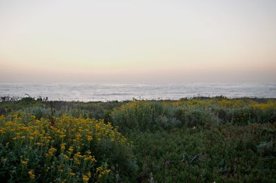 Scenic view of sea against sky during sunset