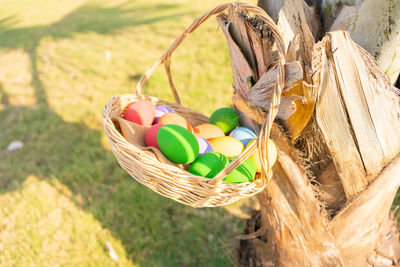 High angle view of multi colored eggs in basket