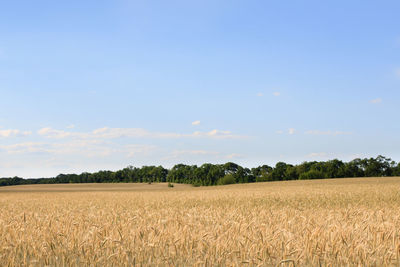 Scenic view of field against cloudy sky