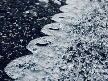 Full frame shot of leaves