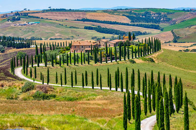 Scenic view of agricultural field