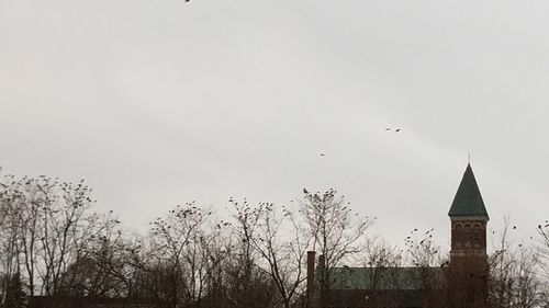 Birds flying over building against clear sky