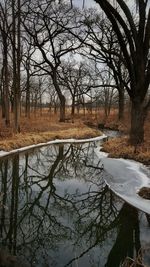 Bare trees by lake against sky