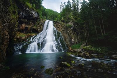 Scenic view of waterfall in forest