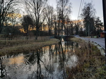 Reflection of bare trees in lake during sunset