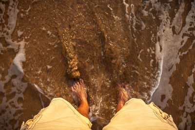 Low section of man standing on shore