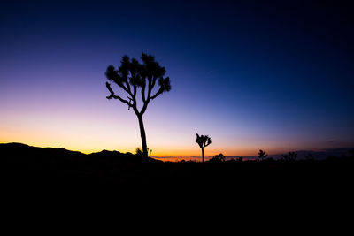 Silhouette trees on landscape against clear sky at sunset