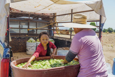 Farmers working at farm