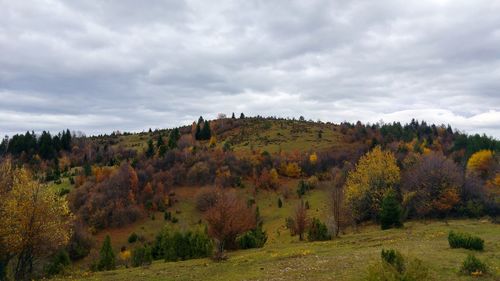 Trees on field against sky during autumn