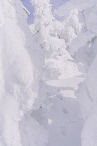 Full frame shot of snow covered field