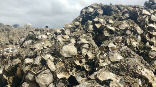 Close-up of rocks against sky