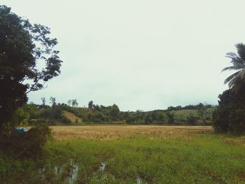 Scenic view of field against sky