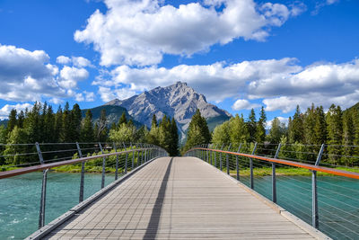 Footbridge amidst trees against sky