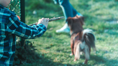 Midsection of boy holding stick with dog on field